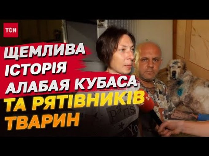 Алабай Кубас, якого розірвало уламками, та його рятівники з Чорнобаївки (ВІДЕО) Алабай Кубас, якого розірвало уламками, та його рятівники з Чорнобаївки (ВІДЕО)