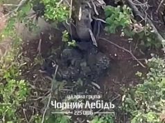 Ліквідація російського снайпера влучним скидом боєприпасу. ВIДЕО Ліквідація-російського-снайпера-влучним-скидом-боєприпасу.-ВiДЕО