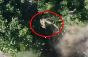 Тіло окупанта вилітає із кущів і здіймається високо угору після скиду із дрона. ВIДЕО Тіло-окупанта-вилітає-із-кущів-і-здіймається-високо-угору-після-скиду-із-дрона.-ВiДЕО