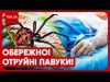 НЕБЕЗПЕЧНІШІ ЗА ЗМІЙ І ТАРАНТУЛІВ! В Україні активізувалися ОТРУЙНІ ПАВУКИ! (ВІДЕО) НЕБЕЗПЕЧНІШІ ЗА ЗМІЙ І ТАРАНТУЛІВ! В Україні активізувалися ОТРУЙНІ ПАВУКИ! (ВІДЕО)