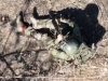 Окупант укоротив собі віку на полі бою. ВIДЕО 18+ Окупант-укоротив-собі-віку-на-полі-бою.-ВiДЕО-18+