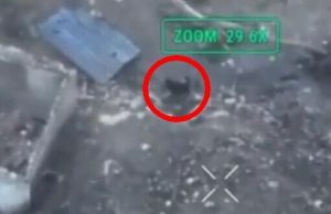 Пес наводить на окупантів українські дрони-камікадзе. ВIДЕО Пес-наводить-на-окупантів-українські-дрони-камікадзе.-ВiДЕО