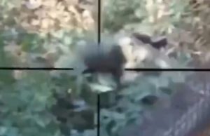 Снайпер знищує двох окупантів під час вуличного бою у Північному на Донеччині. ВIДЕО Снайпер-знищує-двох-окупантів-під-час-вуличного-бою-у-Північному-на-Донеччині.-ВiДЕО