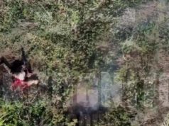 Тіло російського загарбника здіймається високо вгору після скиду гранати. ВIДЕО Тіло-російського-загарбника-здіймається-високо-вгору-після-скиду-гранати.-ВiДЕО