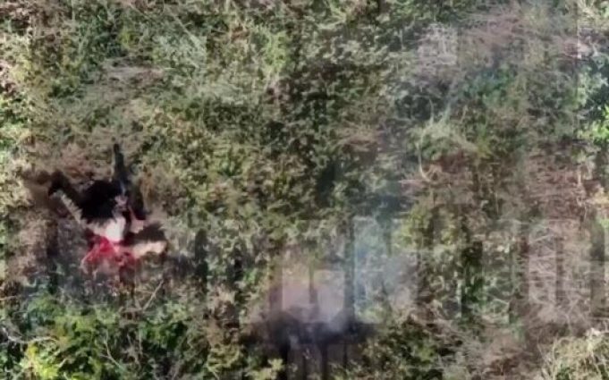 Тіло російського загарбника здіймається високо вгору після скиду гранати. ВIДЕО Тіло-російського-загарбника-здіймається-високо-вгору-після-скиду-гранати.-ВiДЕО