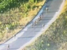 Група російських військовополонених йде під конвоєм дорогою в Курській області РФ. ВIДЕО Група-російських-військовополонених-йде-під-конвоєм-дорогою-в-Курській-області-РФ.-ВiДЕО