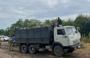 Прикордонники затримали 48 ухилянтів, які прямували до Молдови у “КАМАЗі”. ВІДЕО+ФОТО Прикордонники-затримали-48-ухилянтів,-які-прямували-до-Молдови-у-“КАМАЗі”.-ВІДЕО+ФОТО