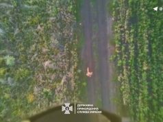 Прикордонники ліквідували двох та поранили чотирьох окупантів на Сіверському напрямку. ВIДЕО Прикордонники-ліквідували-двох-та-поранили-чотирьох-окупантів-на-Сіверському-напрямку.-ВiДЕО