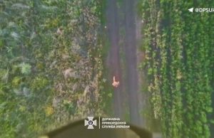 Прикордонники ліквідували двох та поранили чотирьох окупантів на Сіверському напрямку. ВIДЕО Прикордонники-ліквідували-двох-та-поранили-чотирьох-окупантів-на-Сіверському-напрямку.-ВiДЕО