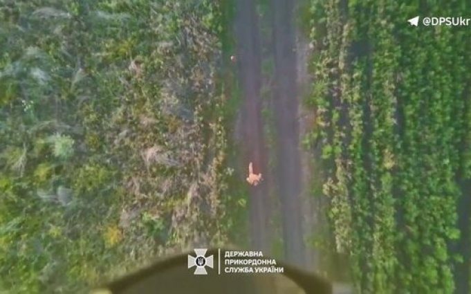 Прикордонники ліквідували двох та поранили чотирьох окупантів на Сіверському напрямку. ВIДЕО Прикордонники-ліквідували-двох-та-поранили-чотирьох-окупантів-на-Сіверському-напрямку.-ВiДЕО