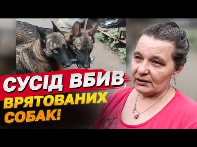 Вона рятувала собак, а їх вбив сусід! Трагедія на Харківщині (ВІДЕО) Вона рятувала собак, а їх вбив сусід! Трагедія на Харківщині (ВІДЕО)
