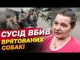 Вона рятувала собак, а їх вбив сусід! Трагедія на Харківщині (ВІДЕО) Вона рятувала собак, а їх вбив сусід! Трагедія на Харківщині (ВІДЕО)