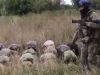 Наші бійці полонили ще близько 20 окупантів у Курській області. ВIДЕО Наші-бійці-полонили-ще-близько-20-окупантів-у-Курській-області.-ВiДЕО