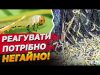 ЕКОЛОГІЧНЕ ЛИХО! Ліс ЗНИКАЄ просто на очах через “ЗЕЛЕНУ ПОЖЕЖУ”! (ВІДЕО) ЕКОЛОГІЧНЕ ЛИХО! Ліс ЗНИКАЄ просто на очах через “ЗЕЛЕНУ ПОЖЕЖУ”! (ВІДЕО)