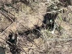 Воїни 32 ОМБр ліквідували штурмову групу росіян під час окопного бою. ВIДЕО Воїни-32-ОМБр-ліквідували-штурмову-групу-росіян-під-час-окопного-бою.-ВiДЕО