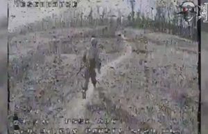 Дрон-камікадзе прилітає у спину російського загарбника. ВIДЕО Дрон-камікадзе-прилітає-у-спину-російського-загарбника.-ВiДЕО