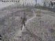 Дрон-камікадзе прилітає у спину російського загарбника. ВIДЕО Дрон-камікадзе-прилітає-у-спину-російського-загарбника.-ВiДЕО
