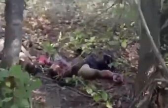 Обліплений мухами недобитий окупант очікує у переліску на евакуацію. ВIДЕО 18+ Обліплений-мухами-недобитий-окупант-очікує-у-переліску-на-евакуацію.-ВiДЕО-18+