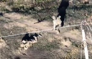 Росіянин на полі бою дивиться на свого пораненого поплічника і тікає. ВIДЕО Росіянин-на-полі-бою-дивиться-на-свого-пораненого-поплічника-і-тікає.-ВiДЕО