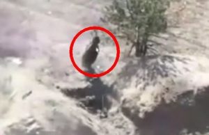 Рядно злітає зі сплячого окупанта і зависає на дереві після удару дрона-камікадзе. ВIДЕО Рядно-злітає-зі-сплячого-окупанта-і-зависає-на-дереві-після-удару-дрона-камікадзе.-ВiДЕО