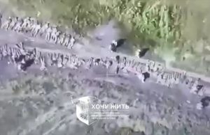 Рота росіян здалася у полон на Курщині. ВIДЕО Рота-росіян-здалася-у-полон-на-Курщині.-ВiДЕО