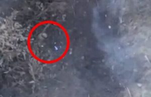 Окупант лобом збиває дрон. ВIДЕО Окупант-лобом-збиває-дрон.-ВiДЕО