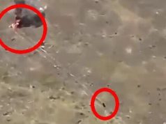 Окупант-байкер чимдуж тікає, покинувши свого поплічника, у якого поцілив дрон. ВIДЕО Окупант-байкер-чимдуж-тікає,-покинувши-свого-поплічника,-у-якого-поцілив-дрон.-ВiДЕО