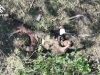 Бійці Нацгвардії полонили російського загарбника на Харківському напрямку. ВIДЕО Бійці-Нацгвардії-полонили-російського-загарбника-на-Харківському-напрямку.-ВiДЕО