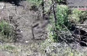 Поранений окупант підірвав себе гранатою на Краматорському напрямку. ВIДЕО Поранений-окупант-підірвав-себе-гранатою-на-Краматорському-напрямку.-ВiДЕО