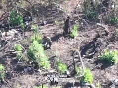 Прикордонники завдали ударів по “норах” окупантів на Сіверському напрямку. ВIДЕО Прикордонники-завдали-ударів-по-“норах”-окупантів-на-Сіверському-напрямку.-ВiДЕО
