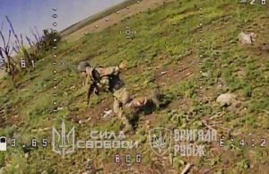 Окупант намагається збити дрон-камікадзе з автомата, а потім марно тікає. ВIДЕО Окупант-намагається-збити-дрон-камікадзе-з-автомата,-а-потім-марно-тікає.-ВiДЕО