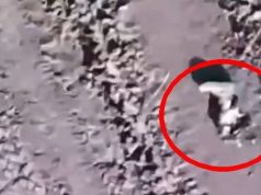Нога окупанта лежить на дорозі після атаки українського дрона. ВIДЕО 18+ Нога-окупанта-лежить-на-дорозі-після-атаки-українського-дрона.-ВiДЕО-18+