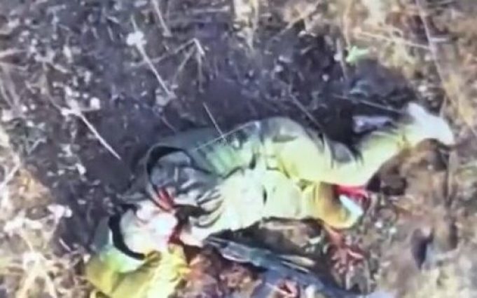 Поранений окупант вставляє дуло автомата до рота та скоює самогубство на Харківщині. ВIДЕО Поранений-окупант-вставляє-дуло-автомата-до-рота-та-скоює-самогубство-на-Харківщині.-ВiДЕО