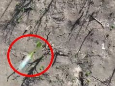 Окупант головою “відбиває” боєприпас, скинутий із дрона. ВIДЕО 18+ Окупант-головою-“відбиває”-боєприпас,-скинутий-із-дрона.-ВiДЕО-18+