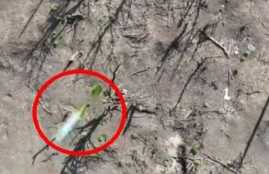 Окупант головою “відбиває” боєприпас, скинутий із дрона. ВIДЕО 18+ Окупант-головою-“відбиває”-боєприпас,-скинутий-із-дрона.-ВiДЕО-18+