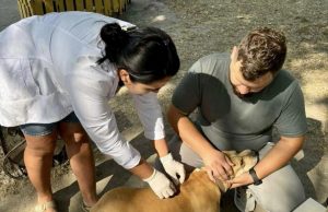 У Благодатному безкоштовно вакцинували домашніх тварин проти сказу У-Благодатному-безкоштовно-вакцинували-домашніх-тварин-проти-сказу