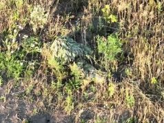 Бійці 92 ОШбр виявили та ліквідували російського снайпера влучним скидом боєприпасів. ВIДЕО Бійці-92-ОШбр-виявили-та-ліквідували-російського-снайпера-влучним-скидом-боєприпасів.-ВiДЕО