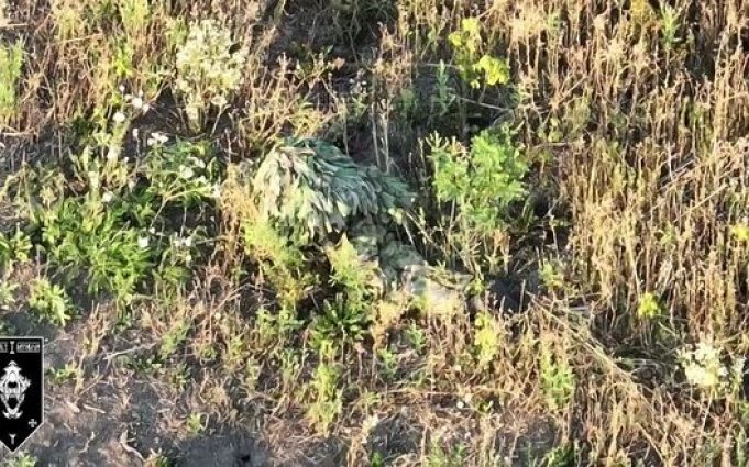 Бійці 92 ОШбр виявили та ліквідували російського снайпера влучним скидом боєприпасів. ВIДЕО Бійці-92-ОШбр-виявили-та-ліквідували-російського-снайпера-влучним-скидом-боєприпасів.-ВiДЕО