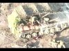 Українські захисники знищили російську бойову машину разом із екіпажем на борту. ВIДЕО Українські-захисники-знищили-російську-бойову-машину-разом-із-екіпажем-на-борту.-ВiДЕО