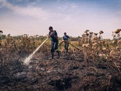 У Києві погіршилася якість повітря через горіння торф’яників в області. ВІДЕО+ФОТОрепортаж У-Києві-погіршилася-якість-повітря-через-горіння-торф’яників-в-області.-ВІДЕО+ФОТОрепортаж