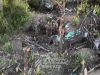 Момент розгрому посадки з росіянами бійцями 3 ОШБр зафільмував наш дрон. ВIДЕО Момент-розгрому-посадки-з-росіянами-бійцями-3-ОШБр-зафільмував-наш-дрон.-ВiДЕО