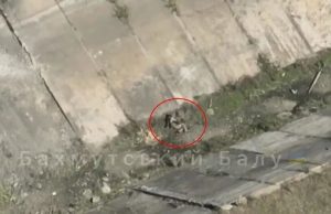 Поранений окупант підірвав себе гранатою на Донеччині. ВIДЕО Поранений-окупант-підірвав-себе-гранатою-на-Донеччині.-ВiДЕО