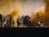 ДСНС врятувала від пожежі ціле село на Київщині. ВІДЕО+ФОТОрепортаж ДСНС-врятувала-від-пожежі-ціле-село-на-Київщині.-ВІДЕО+ФОТОрепортаж