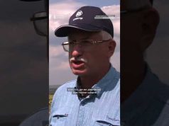 Росіяни спалили поля на Донеччині (ВІДЕО) Росіяни спалили поля на Донеччині (ВІДЕО)