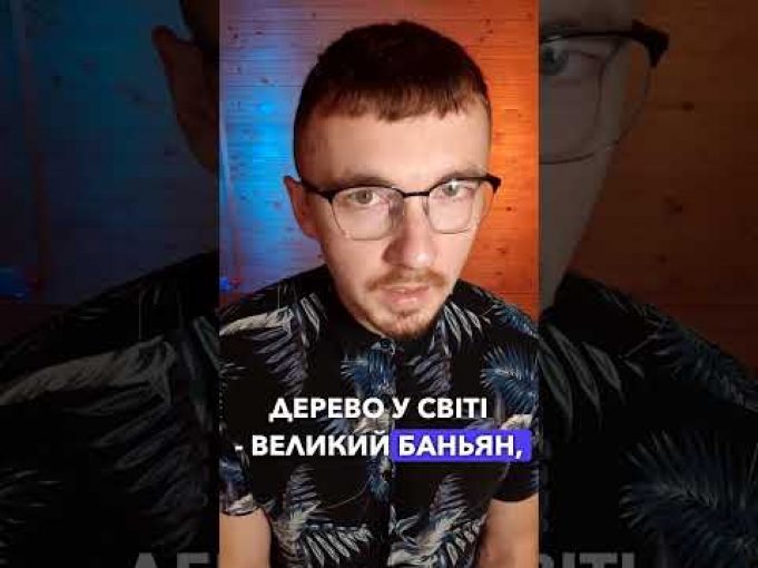 ОТАКОЇ! НАЙБІЛЬШЕ ДЕРЕВО У СВІТІ?! | апостеріорі (ВІДЕО) ОТАКОЇ! НАЙБІЛЬШЕ ДЕРЕВО У СВІТІ?! | апостеріорі (ВІДЕО)