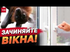 КАЖАНИ “АТАКУЮТЬ” КВАРТИРИ через наближення холодів! (ВІДЕО) КАЖАНИ “АТАКУЮТЬ” КВАРТИРИ через наближення холодів! (ВІДЕО)