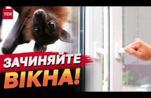 КАЖАНИ “АТАКУЮТЬ” КВАРТИРИ через наближення холодів! (ВІДЕО) КАЖАНИ “АТАКУЮТЬ” КВАРТИРИ через наближення холодів! (ВІДЕО)