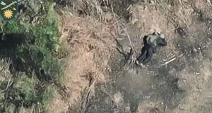 Обгорілі тіла російських загарбників валяються в полі на Луганщині. ВIДЕО 18+ Обгорілі-тіла-російських-загарбників-валяються-в-полі-на-Луганщині.-ВiДЕО-18+