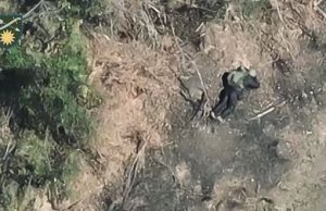 Обгорілі тіла російських загарбників валяються в полі на Луганщині. ВIДЕО 18+ Обгорілі-тіла-російських-загарбників-валяються-в-полі-на-Луганщині.-ВiДЕО-18+