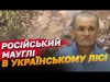 Окупант місяцями блукав лісами, бо марились фашисти! ЗСУ врятували (ВІДЕО) Окупант місяцями блукав лісами, бо марились фашисти! ЗСУ врятували (ВІДЕО)